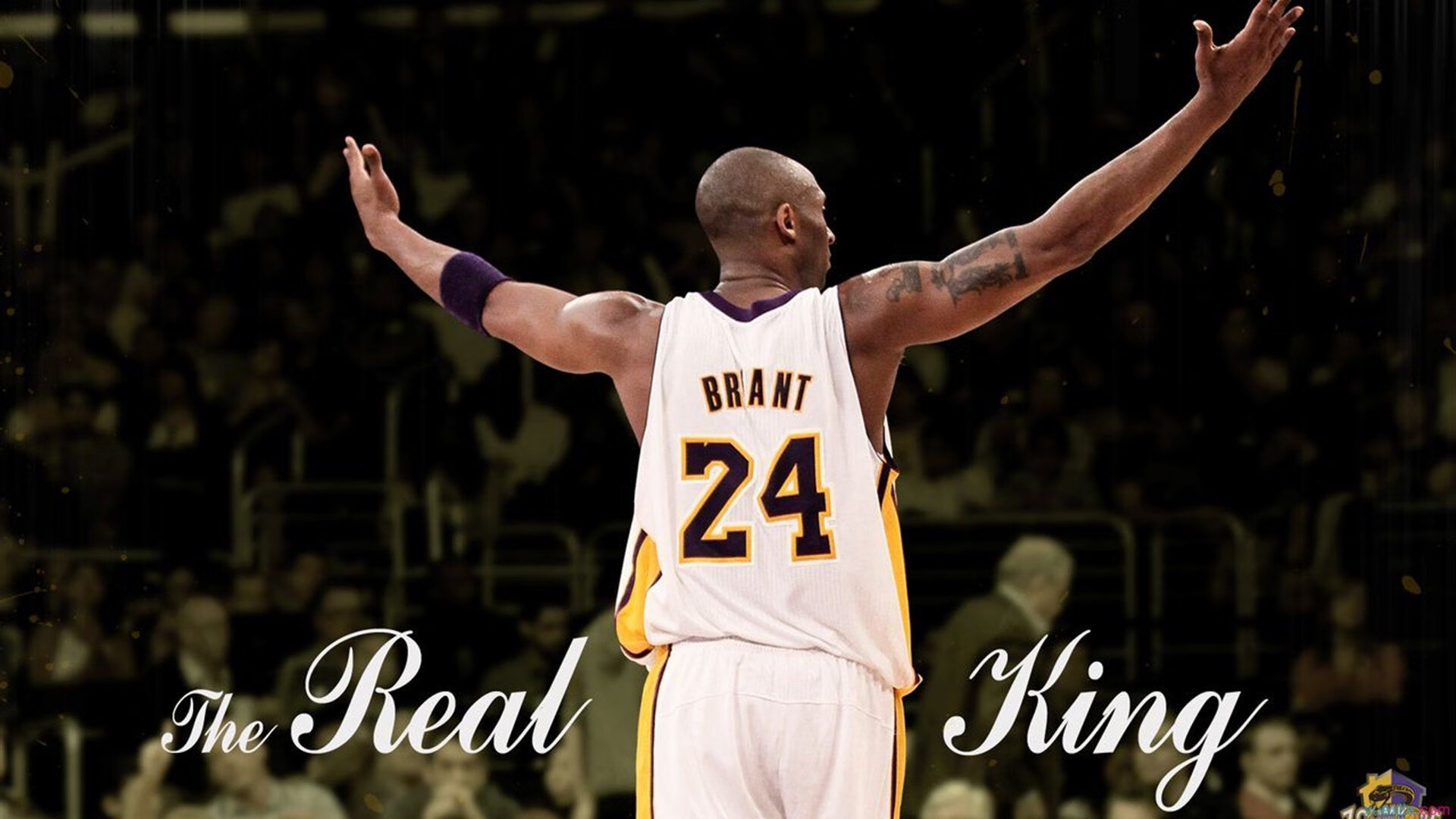 弗朗索瓦·霍尔茨豪伊泽：南非队不可或缺的核心后场球员，霍弗尔狼队